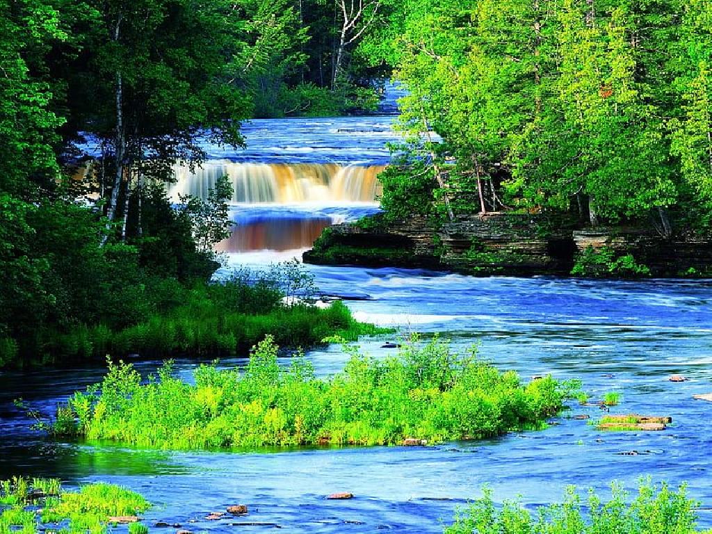 Fluss mit einem kleinen Wasserfall durch einen grünen Wald